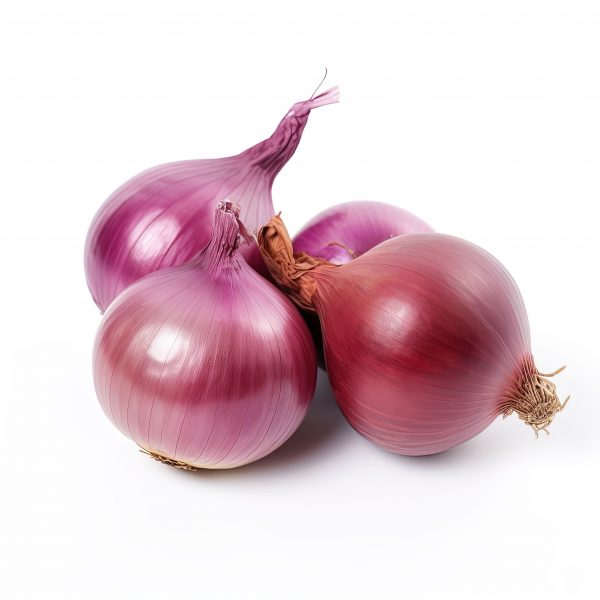Oignon