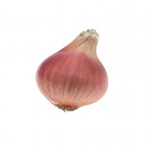 Échalote