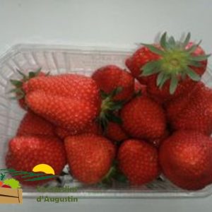 Fraise Darselect 500g